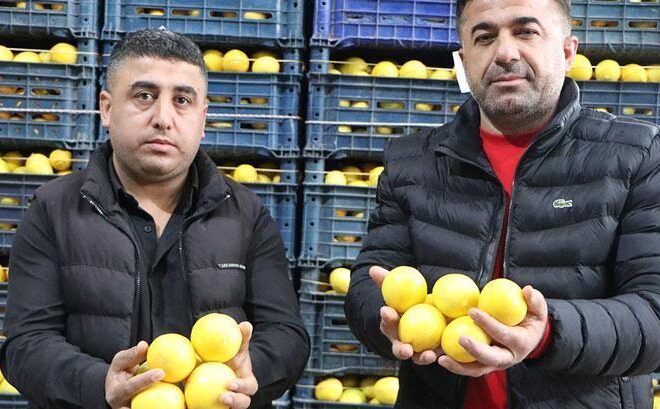 3 TL’ye halde satılan limonun fiyatı markette 30 TL’yi aştı